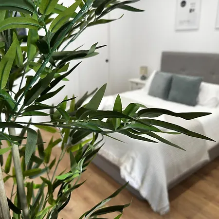 Appartement Alimarc Urban Salamanque
